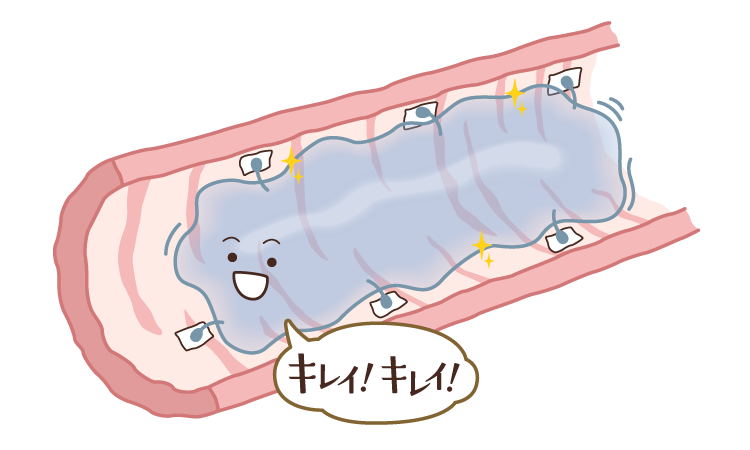 腸壁を大掃除